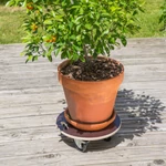 Kép 2/5 - Nortene Flora Roll Strong növény alátét