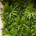 Kép 5/8 - Nortene Vertical Jungle műanyag zöldfal a dzsungel növényeivel (100×100 cm)