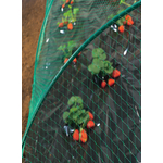 Kép 4/7 - Nortene Birdnet  rombusz szemformájú ,extrudált műanyag háló, 2x5, Zöld