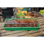 Kép 3/4 - Nortene Growing Kit mini üvegház