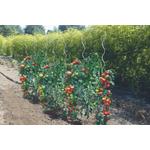 Kép 3/5 - Nortene Tomato Spiral galvanizál paradicsom karó