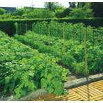 Kép 2/4 - Nortene Trellinet növénytartó háló,uborkaháló,rácsméret  150 x 170 mm, 1,7 x 1000, Zöld