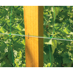 Kép 4/4 - Nortene Trellinet növénytartó háló. uborkaháló,rácsméret 150 x 150 mm,  1,2 x 5m