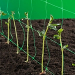 Kép 1/4 - Nortene Trellinet növénytartó háló,uborkaháló,rácsméret 150 x 150 mm