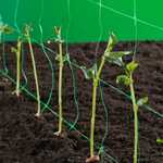 Kép 1/4 - Nortene Trellinet növénytartó háló,uborkahálók,rácsméret 150 x 150 mm