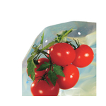 Kép 3/5 - Nortene Tomatotube paradicsomtermesztő perforált fóliatömlő