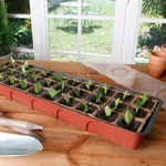 Kép 3/3 - Nortene Growing Kit mini üvegház szett 52x17 cm