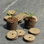Kép 1/3 - Nortene Turba dehidratált tőzegtabletta