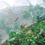 Kép 1/5 - Nortene Biocontrol rovarháló