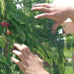 Kép 4/5 - Nortene Pronet rombusz szemformájú szőtt műanyag háló
