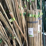 Kép 2/3 - Nortene Bamboo bambusz termesztő karó (6 db karó/csomag), Ø 6-8 mm x M. 0,60 m Natur Fa