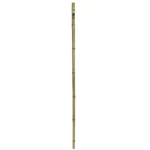 Kép 3/4 - Nortene Bamboo bambusz termesztő karó  ( 1 db ), Ø 16-18 mm x M. 2,1 m