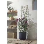 Kép 2/5 - Nortene Echelle bamboo, bambusz növénylétra