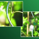 Kép 6/7 - Nortene Tomato Spiral galvanizál paradicsom karó 180 cm