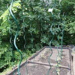 Kép 4/7 - Nortene Tomato Spiral Epoxy  paradicsom karó 170 cm