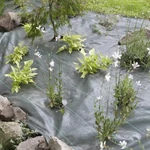 Kép 4/4 - Nortene Coversol agroszövet 90g/m2, 1,25 x 100m
