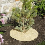Kép 2/5 - Nortene Chanvrelin 750 100% természetes talajtakaró Ø40cm