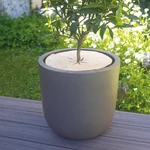 Kép 3/5 - Nortene Chanvrelin 100% természetes talajtakaró Ø30cm - 3 db korong