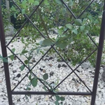 Kép 3/5 - Nortene Classic Metal Trellis  fém futtató rács, panel 30x120 cm