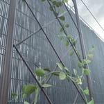 Kép 4/5 - Nortene Classic Metal Trellis  fém futtató rács, panel, 42x150 cm