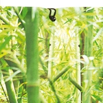 Kép 4/4 - Nortene Bamboo festett bambusz mintás árnyékoló