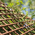 Kép 4/10 - Nortene Willow Trellis térelválasztó
