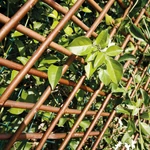 Kép 5/10 - Nortene Willow Trellis térelválasztó