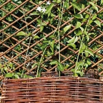 Kép 6/10 - Nortene Willow Trellis térelválasztó