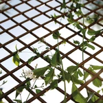 Kép 9/10 - Nortene Willow Trellis térelválasztó