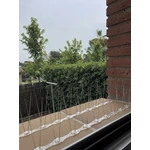 Kép 6/7 - Nortene Spike BIrd galambriasztó tüske 5m