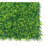 Kép 2/4 - Nortene Vertical buxus zöldfal buxus levelekkel
