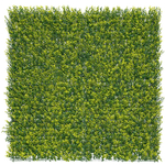 Kép 4/4 - Nortene Vertical buxus zöldfal buxus levelekkel