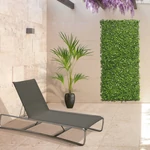 Kép 1/7 - VERTICAL JASMIN zöldfal jázminnal