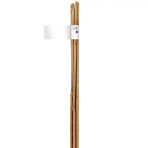 Nortene Bamboo bambusz termesztő karó