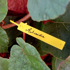 Nortene Tree Label függő címke