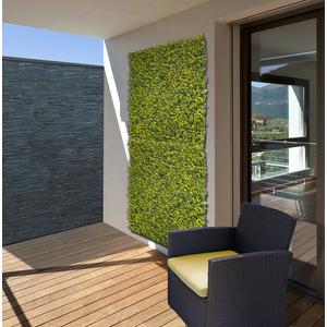 Nortene Vertical buxus zöldfal buxus levelekkel