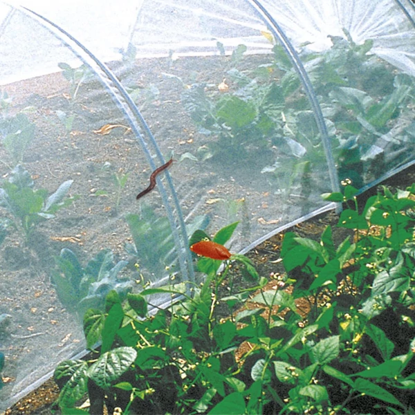 Nortene Biocontrol rovarháló