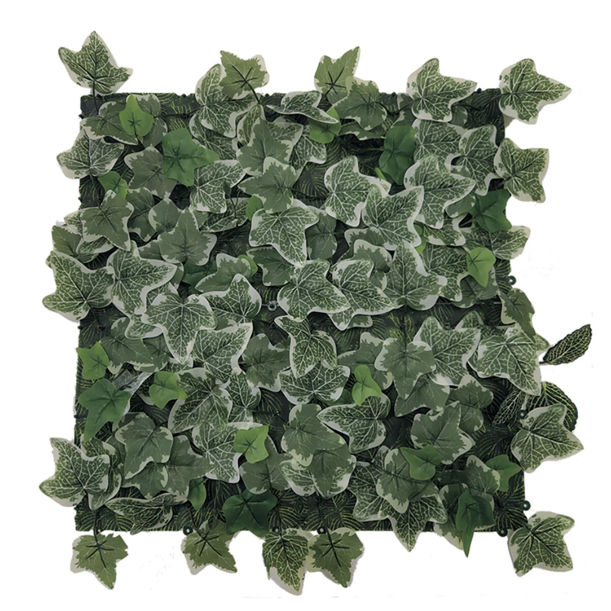 Nortene Vertical Printed Alameda növényfal, zöldfal 50x50 cm