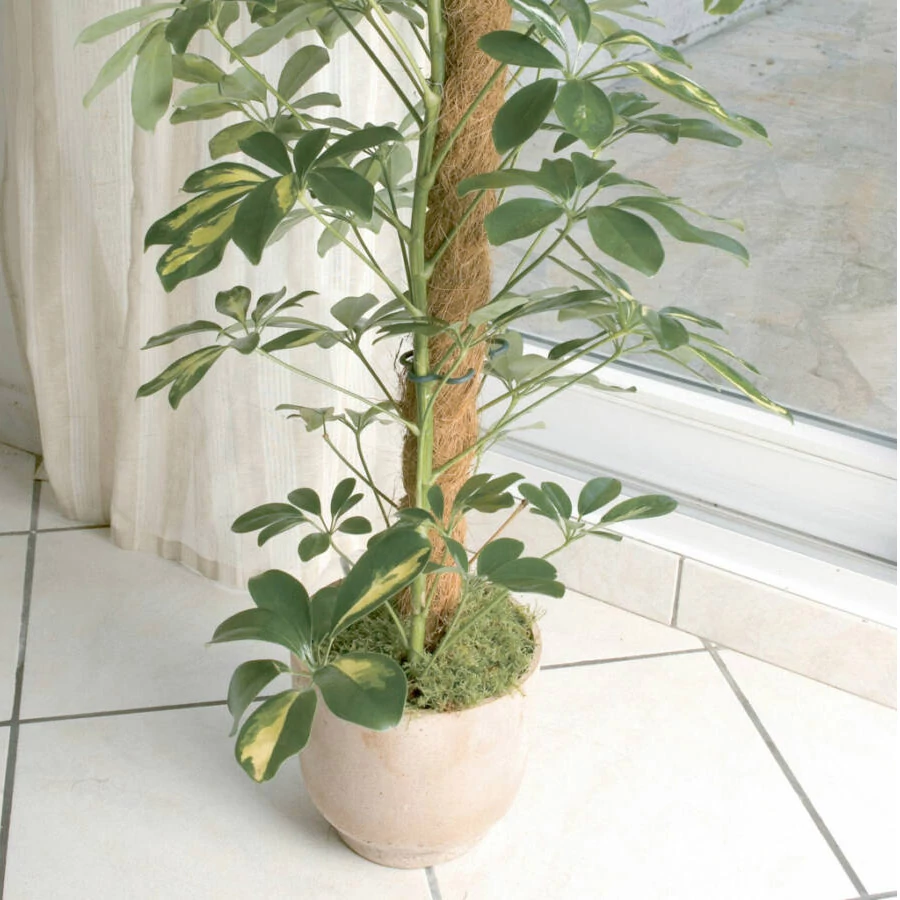 Nortene Coco kókuszrúd 60 cm