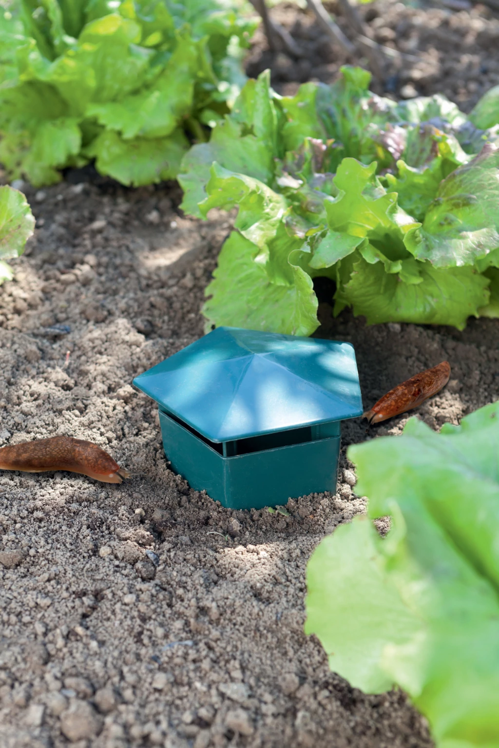 Nortene Slugs Trap csigacsapda