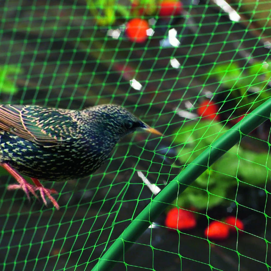Nortene Birdnet  rombusz szemformájú ,extrudált műanyag madárháló, 2x5, Zöld