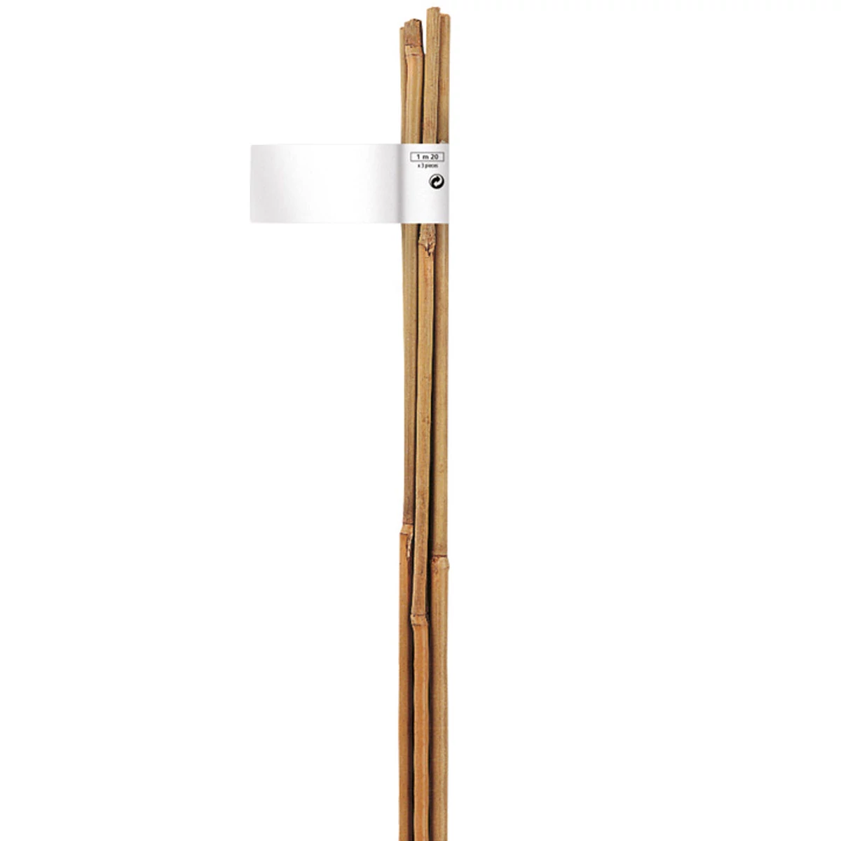 Nortene Bamboo bambusz termesztő karó (6 db karó/csomag), Ø 6-8 mm x M. 0,60 m Natur Fa