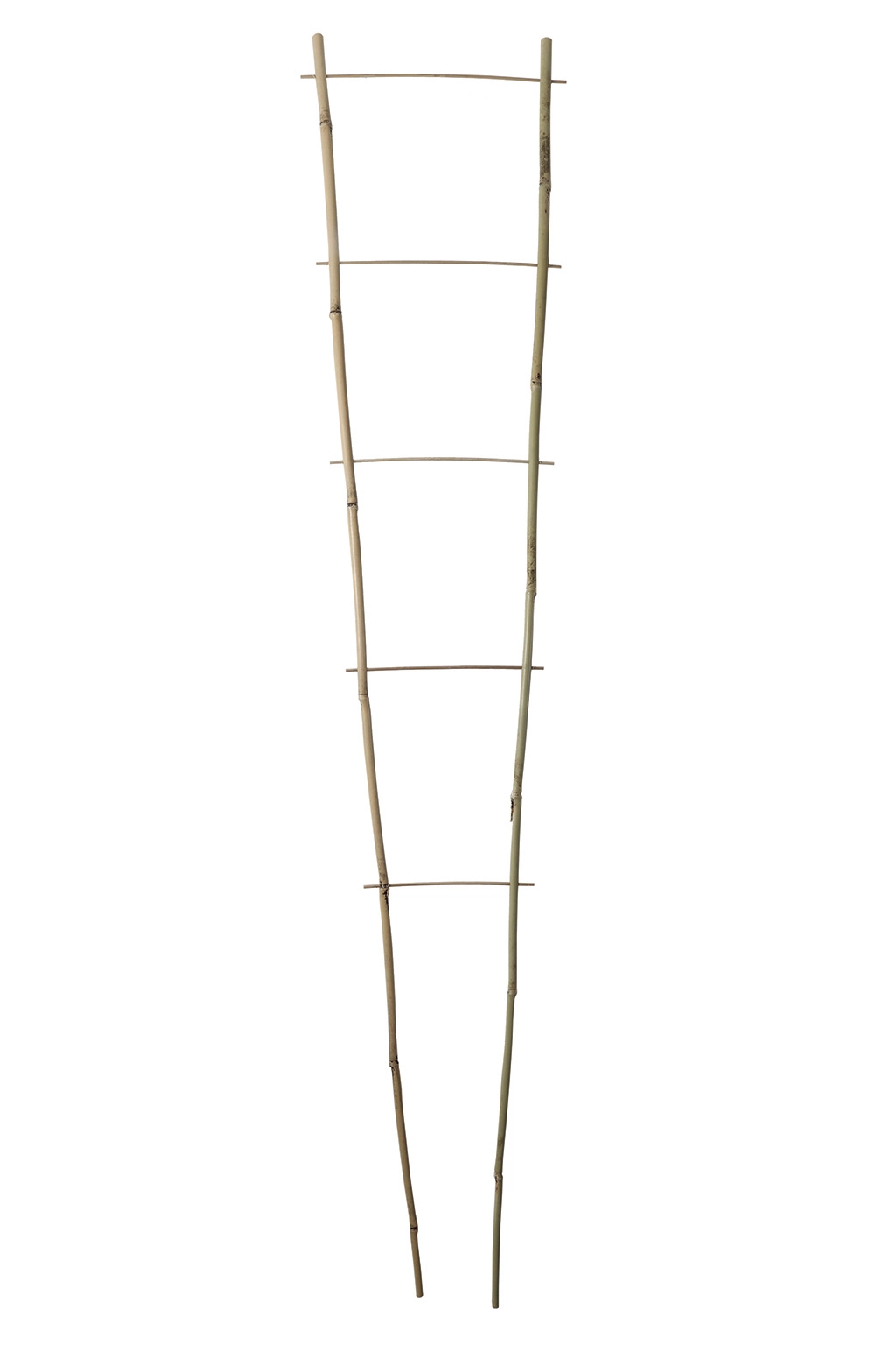 Nortene Echelle bamboo, bambusz növénylétra 60x20 cm