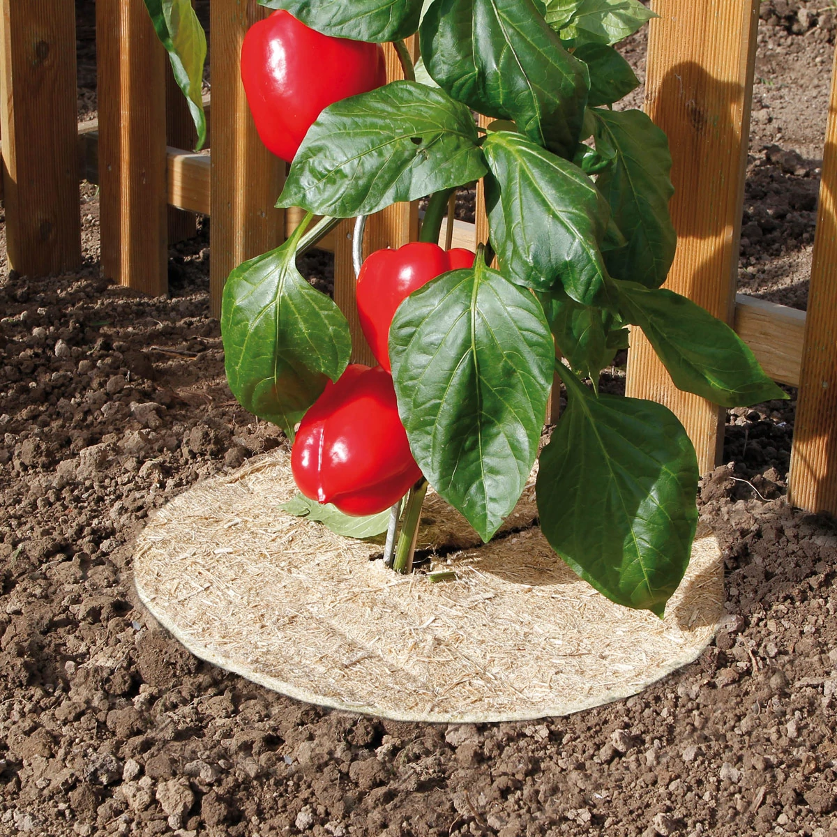 Nortene Chanvrelin 100% természetes talajtakaró Ø30cm - 3 db korong