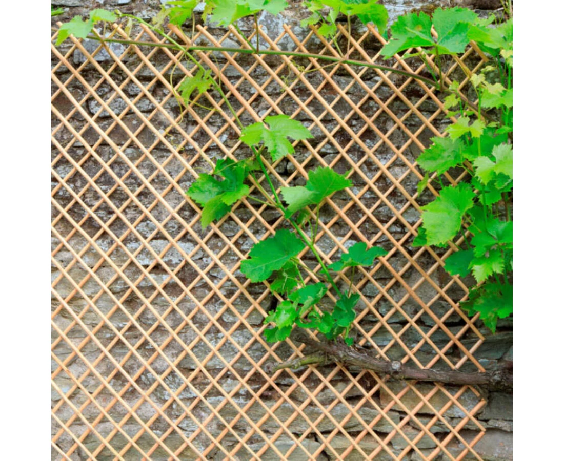 Nortene Wick Trellis vessző apácarács 0,5 x 1,5 m